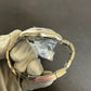 N/A 116509 Meteorite, New Buckle Preowned Watch Only