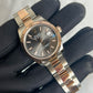 2025 278271 Oyster Grey Index DJ31 New Complete