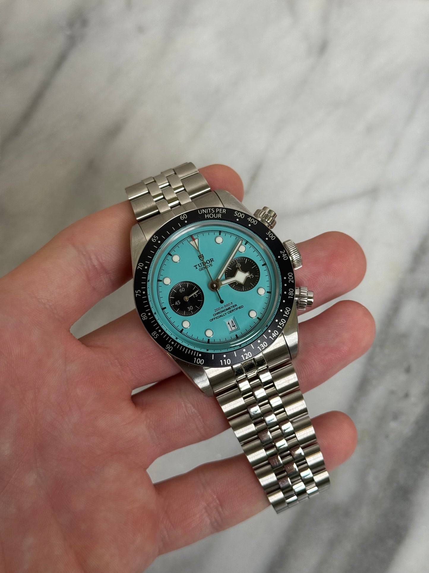 2026 79360N Black Bay Flamingo Blue New Complete